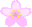 お花見ガイド