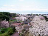 オニウシ公園