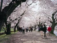 弘前公園