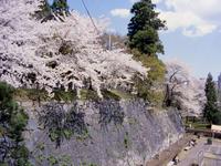 盛岡城跡公園