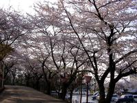 花巻温泉