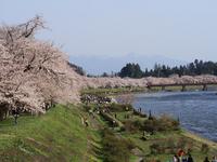 桧木内川堤