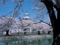 鶴岡公園