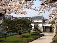 霞ヶ城公園・箕輪門と桜