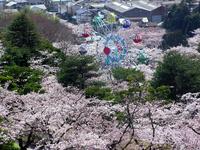 かみね公園・平和通り