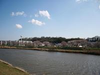 桜川（三分咲き）