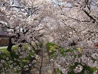 千歳袋川