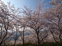 織姫公園