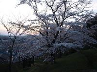足利公園