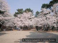 大宮公園