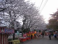 清水公園
