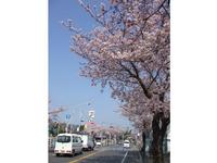中山競馬場周辺