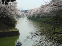 千鳥ヶ淵