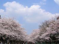 上野恩賜公園