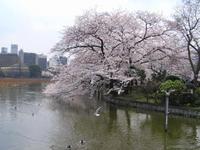 上野恩賜公園