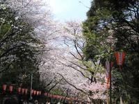 上野恩賜公園
