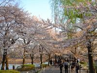 上野恩賜公園
