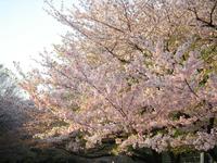 上野恩賜公園