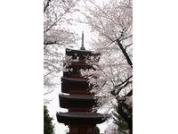 池上本門寺