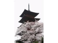 池上本門寺