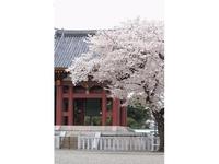 池上本門寺
