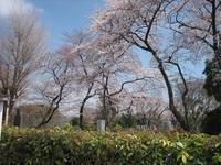 池上本門寺