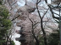 池上本門寺