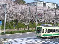 飛鳥山公園