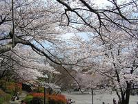 飛鳥山公園