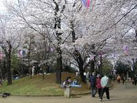 飛鳥山公園