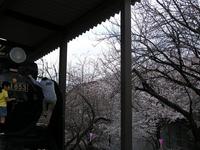 飛鳥山公園