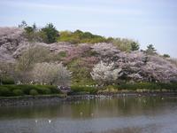 三ツ池公園