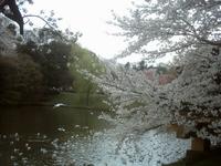 三ツ池公園