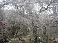 三ツ池公園