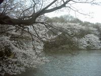 三ツ池公園