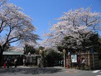 三渓園