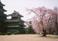 高田公園