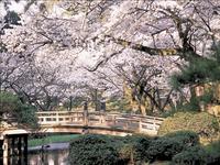 兼六園