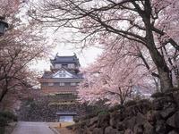 亀山公園