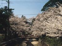 小浜公園