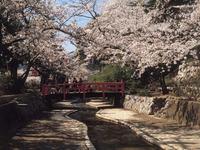 小浜公園