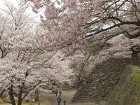 懐古園（小諸城址）