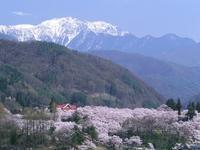 高遠城址公園