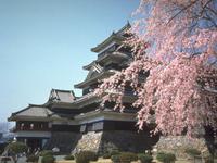 松本城