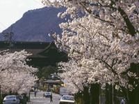 城山公園