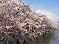 臥竜公園