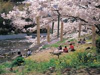 那賀川堤