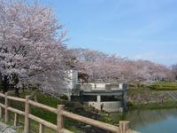 落合公園