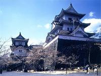 上野城の桜