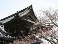 仁和寺